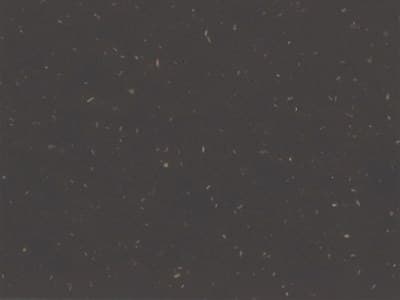 Finish: Dark Grey - 100% Reclaimed polypropylene with wood fiber