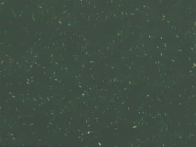 Finish: Green- Recycled Pet