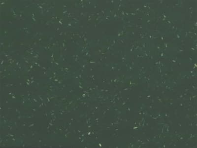 Seat Color: Green - 100% Reclaimed polypropylene with wood fiber