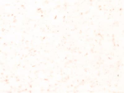 Finish: White - 100% Reclaimed polypropylene with wood fiber