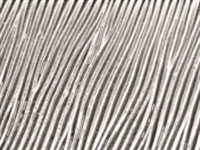 Glass Type: Clear Linear