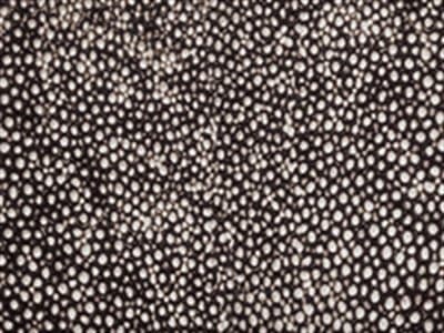 Shagreen Finish: Pebble