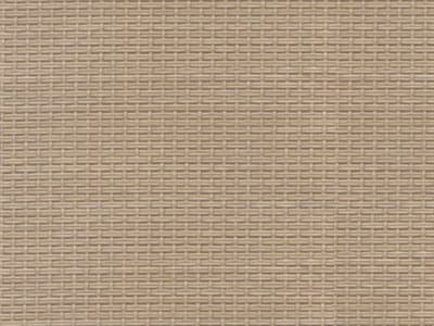 Fabric: Beige Textliene