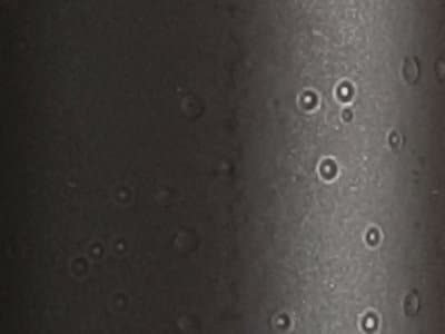 Finish: Antique Bronze