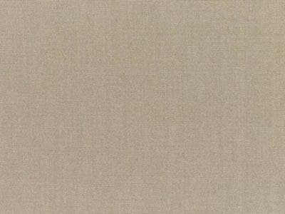 Fabric: Sunbrella Canvas Taupe