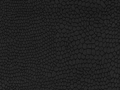 Fabric: Faunal Black