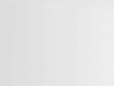 Shade Finish: Matte White Metal