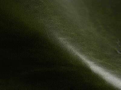 Upholstery: Gourmet Pine