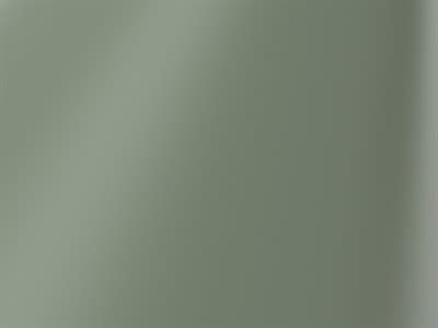 Finish: Pale Petroleum