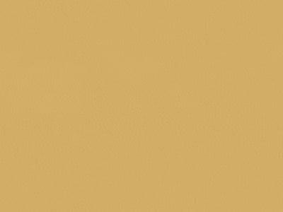 Ottoman Leather: 9629-11 - Protected - Leather