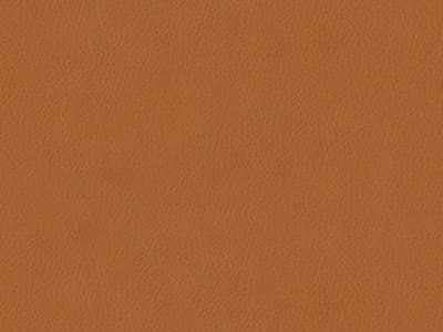 Ottoman Leather: 9629-41 - Protected - Leather