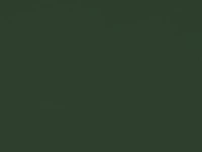 Finish: Dark Green 1556