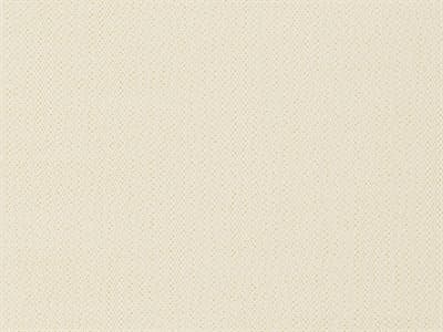 Fabric: Outdura Storm Creme 6616