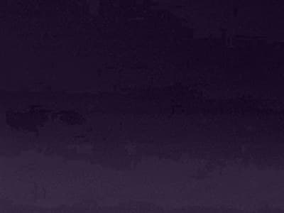 Finish: Aubergine 9029