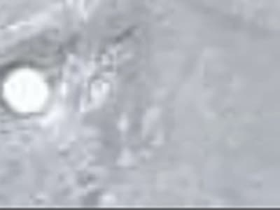 Base Finish: Galvanized Steel Gloss