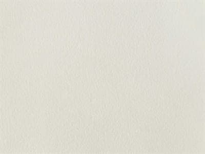 Fabric: Stamskin White