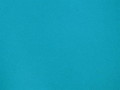 Fabric: Stamskin Blue