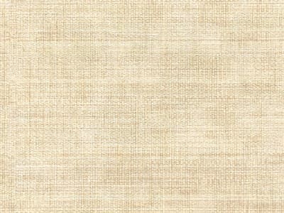 Upholstery: Filer Tan