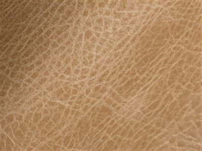 Upholstery: Fargo Oatmeal - Leather