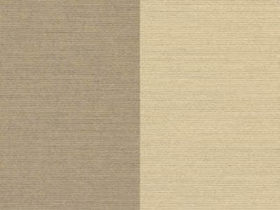 Fabric: Sunbrella Spectrum Mushroom with Sunbrella Spectrum Sand Welt