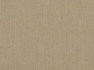 Fabric: Sunbrella Spectrum Mushroom