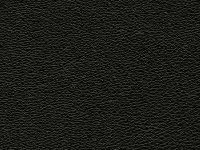 Upholstery: Le Mans Dark Brown Leather - 15CQ