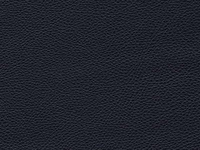 Upholstery: Le Mans Dark Blue Leather - 15CY
