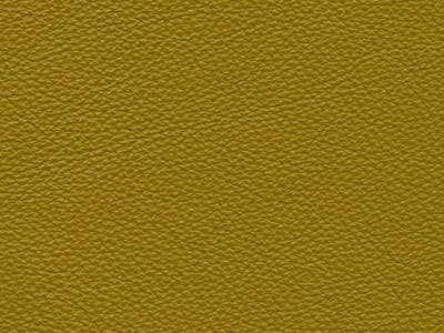 Upholstery: Le Mans Cedar Leather - 15D2