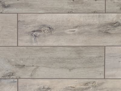 Top Finish: Buckskin