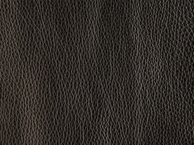 Upholstery: Rein Basalt  - Leather