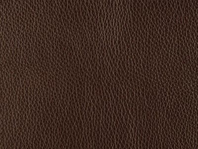 Upholstery: Rein Bruin  - Leather