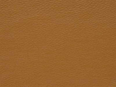 Upholstery: Rein Caramel  - Leather