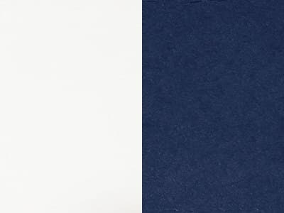 Polywood Finish / Cushion Color: Navy / White Polywood