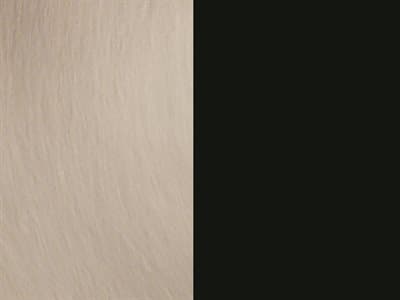 Finish: Brushed Nickel / Matte Black