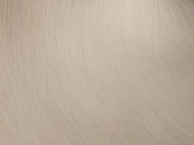 Finish: Brushed Nickel