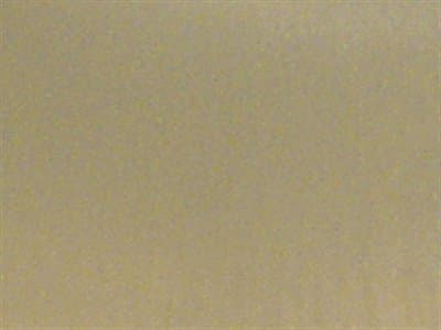 Shade Finish: Sheer Cream