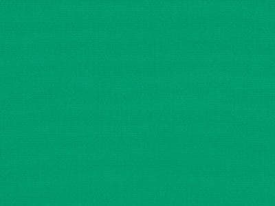 Roof Fabric: Sunbrella Awning Erin Green