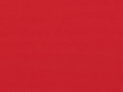 Roof Fabric: Sunbrella Awning Jockey Red