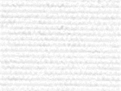 Fabric: Polyester Snow White