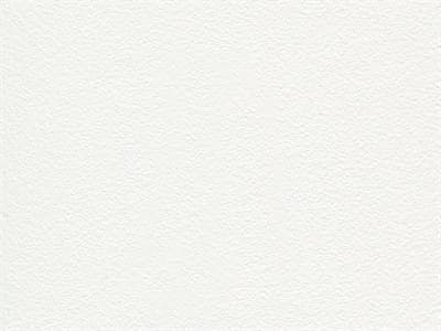 Finish: Arctic White