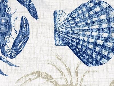 Welt: Sealife Marine