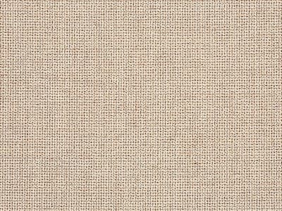 Fabric: Sunbrella Bliss Sand
