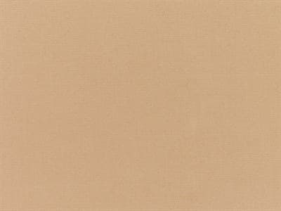 Fabric: Bliss Canvas Camel