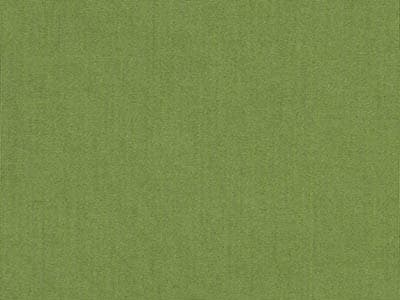 Fabric: Sunbrella Spectrum Cilantro