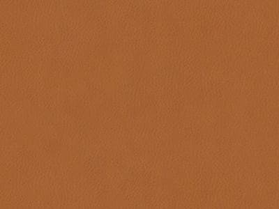 Ottoman Leather: 9629-41 - Protected - Leather