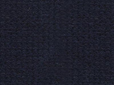 Strap Color: Colbalt