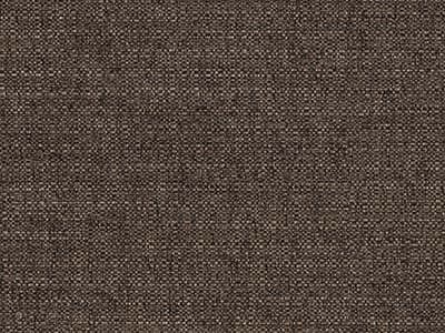 Upholstery: Revolution Zora Bark