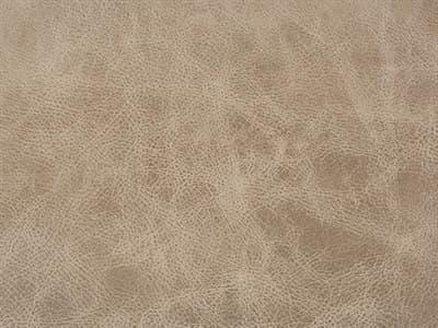 Upholstery: Saloon Mushroom