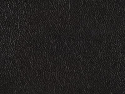 Upholstery: Ziggy  Ink