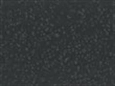 Strap Color: Textured Hammered Pewter